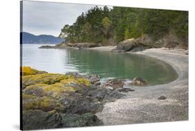 USA, Washington. Gravel Beach and Shore on Vendovi Island-Gary Luhm-Stretched Canvas