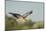 USA, Washington. Great Blue Heron in Flight over Potholes Reservoir-Gary Luhm-Mounted Photographic Print