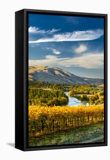 USA, Washington. Harvest Season for Red Mountain Vineyards-Richard Duval-Framed Stretched Canvas