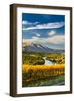 USA, Washington. Harvest Season for Red Mountain Vineyards-Richard Duval-Framed Photographic Print