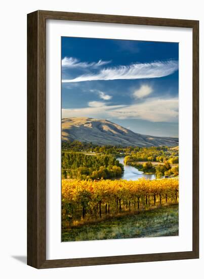 USA, Washington. Harvest Season for Red Mountain Vineyards-Richard Duval-Framed Photographic Print