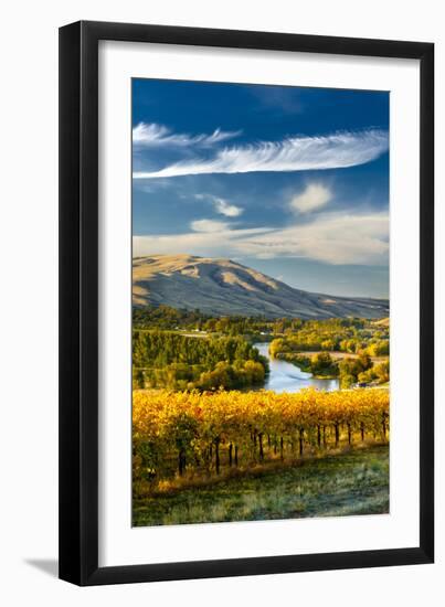 USA, Washington. Harvest Season for Red Mountain Vineyards-Richard Duval-Framed Photographic Print