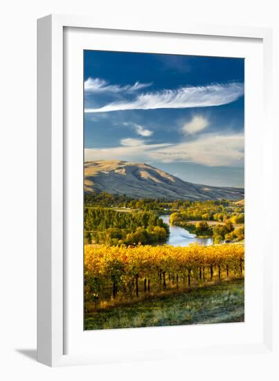 USA, Washington. Harvest Season for Red Mountain Vineyards-Richard Duval-Framed Photographic Print