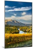 USA, Washington. Harvest Season for Red Mountain Vineyards-Richard Duval-Mounted Photographic Print