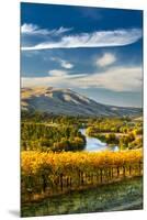 USA, Washington. Harvest Season for Red Mountain Vineyards-Richard Duval-Mounted Premium Photographic Print