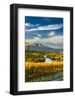 USA, Washington. Harvest Season for Red Mountain Vineyards-Richard Duval-Framed Photographic Print