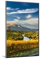 USA, Washington. Harvest Season for Red Mountain Vineyards-Richard Duval-Mounted Photographic Print