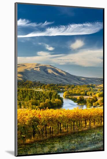 USA, Washington. Harvest Season for Red Mountain Vineyards-Richard Duval-Mounted Photographic Print