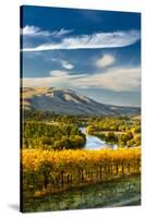 USA, Washington. Harvest Season for Red Mountain Vineyards-Richard Duval-Stretched Canvas