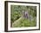 USA, Washington. Hoary Marmot Feeding in Mt. Rainier-Gary Luhm-Framed Premium Photographic Print