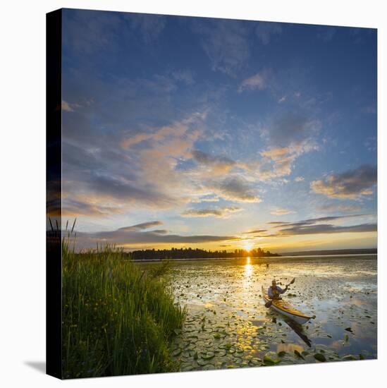 USA, Washington. Kayaker Paddling on Lake Washington's Union Bay-Gary Luhm-Stretched Canvas