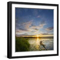 USA, Washington. Kayaker Paddling on Lake Washington's Union Bay-Gary Luhm-Framed Premium Photographic Print