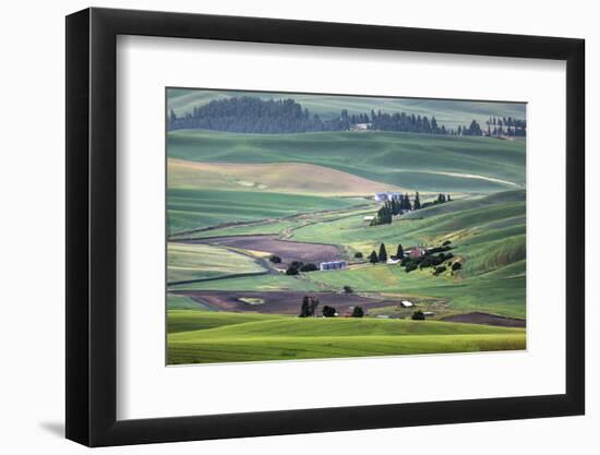 USA, Washington. Landscape of Palouse Country and Farms-Jaynes Gallery-Framed Photographic Print