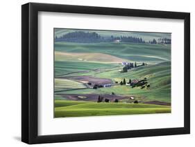 USA, Washington. Landscape of Palouse Country and Farms-Jaynes Gallery-Framed Photographic Print