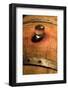 USA, Washington, Leavenworth. Barrel room in Washington winery.-Richard Duval-Framed Photographic Print