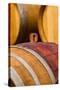 USA, Washington, Leavenworth. Glass bung in barrel cellar.-Richard Duval-Stretched Canvas
