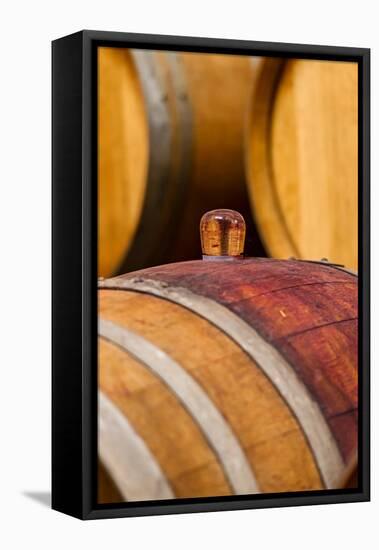 USA, Washington, Leavenworth. Glass bung in barrel cellar.-Richard Duval-Framed Stretched Canvas