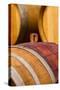 USA, Washington, Leavenworth. Glass bung in barrel cellar.-Richard Duval-Stretched Canvas