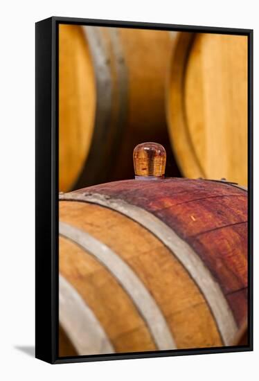 USA, Washington, Leavenworth. Glass bung in barrel cellar.-Richard Duval-Framed Stretched Canvas