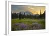 USA, Washington. Lupine and Mt. Rainie, Indian Henry's Hunting Ground-Gary Luhm-Framed Photographic Print