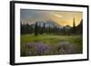 USA, Washington. Lupine and Mt. Rainie, Indian Henry's Hunting Ground-Gary Luhm-Framed Photographic Print