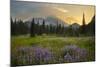 USA, Washington. Lupine and Mt. Rainie, Indian Henry's Hunting Ground-Gary Luhm-Mounted Photographic Print