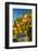 USA, Washington. Merlot Grapes in Eastern Washington Vineyard-Richard Duval-Framed Photographic Print