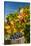 USA, Washington. Merlot Grapes in Eastern Washington Vineyard-Richard Duval-Stretched Canvas