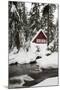 USA, Washington, Mount Baker Snoqualmie National Forest, Mountain cabin-Jamie & Judy Wild-Mounted Photographic Print
