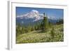 USA, Washington, Mount Rainier NP. Avalanche Lilies and Mount Rainier-Jaynes Gallery-Framed Photographic Print