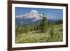 USA, Washington, Mount Rainier NP. Avalanche Lilies and Mount Rainier-Jaynes Gallery-Framed Photographic Print