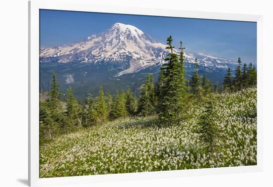 USA, Washington, Mount Rainier NP. Avalanche Lilies and Mount Rainier-Jaynes Gallery-Framed Photographic Print