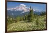 USA, Washington, Mount Rainier NP. Avalanche Lilies and Mount Rainier-Jaynes Gallery-Framed Photographic Print