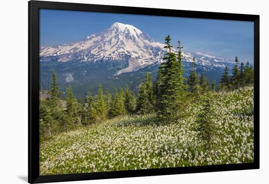 USA, Washington, Mount Rainier NP. Avalanche Lilies and Mount Rainier-Jaynes Gallery-Framed Photographic Print