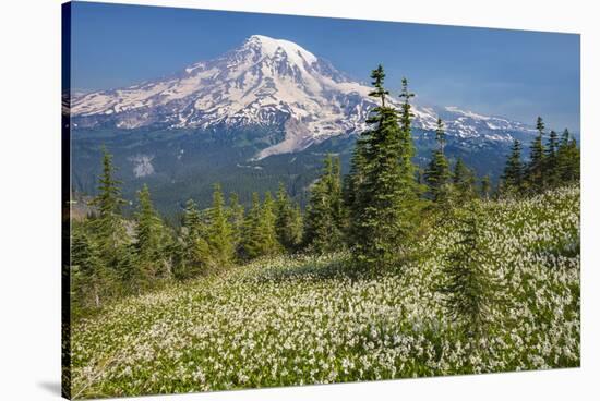 USA, Washington, Mount Rainier NP. Avalanche Lilies and Mount Rainier-Jaynes Gallery-Stretched Canvas