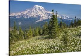 USA, Washington, Mount Rainier NP. Avalanche Lilies and Mount Rainier-Jaynes Gallery-Stretched Canvas