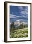 USA, Washington, Mount Rainier NP. Avalanche Lilies and Mount Rainier-Jaynes Gallery-Framed Premium Photographic Print