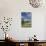 USA, Washington, Mount Rainier NP. Avalanche Lilies and Mount Rainier-Jaynes Gallery-Photographic Print displayed on a wall