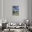 USA, Washington, Mount Rainier NP. Avalanche Lilies and Mount Rainier-Jaynes Gallery-Framed Premium Photographic Print displayed on a wall