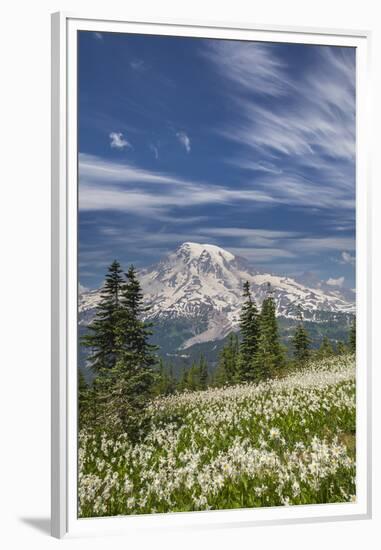 USA, Washington, Mount Rainier NP. Avalanche Lilies and Mount Rainier-Jaynes Gallery-Framed Premium Photographic Print