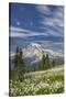 USA, Washington, Mount Rainier NP. Avalanche Lilies and Mount Rainier-Jaynes Gallery-Stretched Canvas