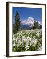 USA, Washington, Mount Rainier NP. Avalanche Lilies and Mount Rainier-Jaynes Gallery-Framed Premium Photographic Print