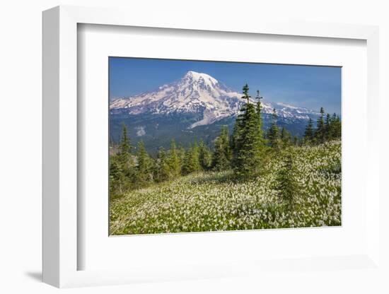 USA, Washington, Mount Rainier NP. Avalanche Lilies and Mount Rainier-Jaynes Gallery-Framed Photographic Print