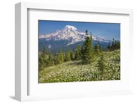 USA, Washington, Mount Rainier NP. Avalanche Lilies and Mount Rainier-Jaynes Gallery-Framed Photographic Print