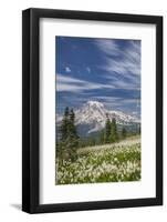 USA, Washington, Mount Rainier NP. Avalanche Lilies and Mount Rainier-Jaynes Gallery-Framed Photographic Print