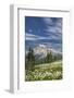 USA, Washington, Mount Rainier NP. Avalanche Lilies and Mount Rainier-Jaynes Gallery-Framed Photographic Print
