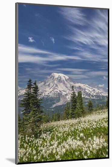 USA, Washington, Mount Rainier NP. Avalanche Lilies and Mount Rainier-Jaynes Gallery-Mounted Photographic Print