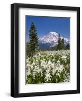 USA, Washington, Mount Rainier NP. Avalanche Lilies and Mount Rainier-Jaynes Gallery-Framed Photographic Print