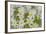 USA, Washington, Mount Rainier NP. Close-Up of Avalanche Lilies-Jaynes Gallery-Framed Photographic Print