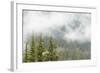 USA, Washington, Mount Rainier NP. Landscape of Fog in Forest-Jaynes Gallery-Framed Photographic Print